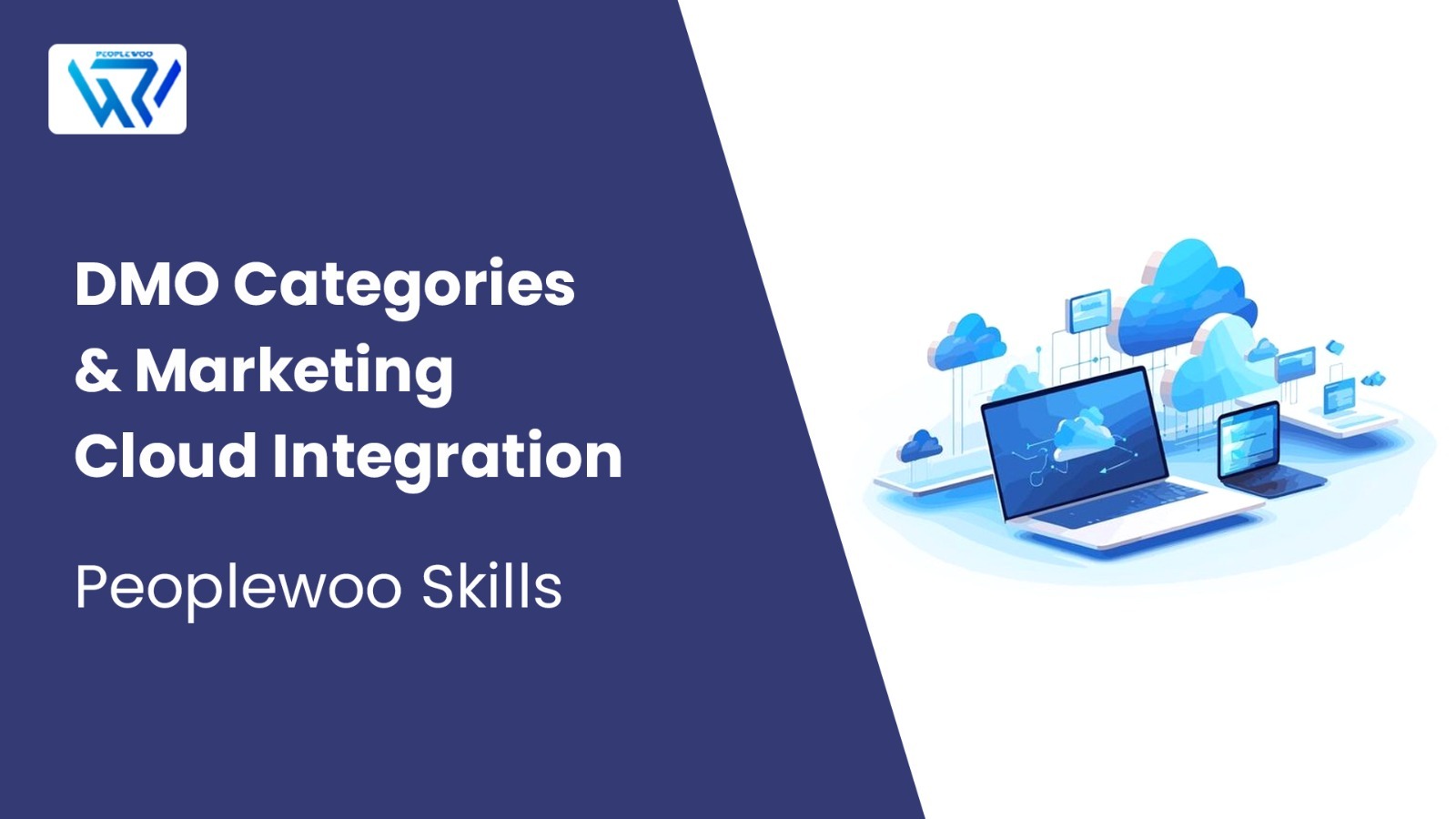 DMO Categories & Marketing Cloud Integration | Peoplewoo Skills